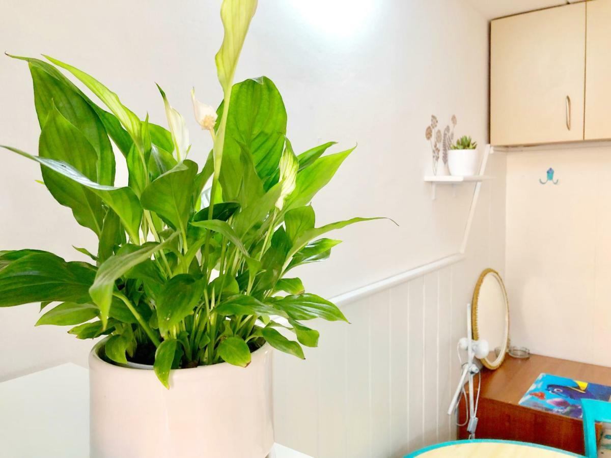 Studio & Free Parking, Aircool, Fresh Bedding Apartment Lovran Luaran gambar